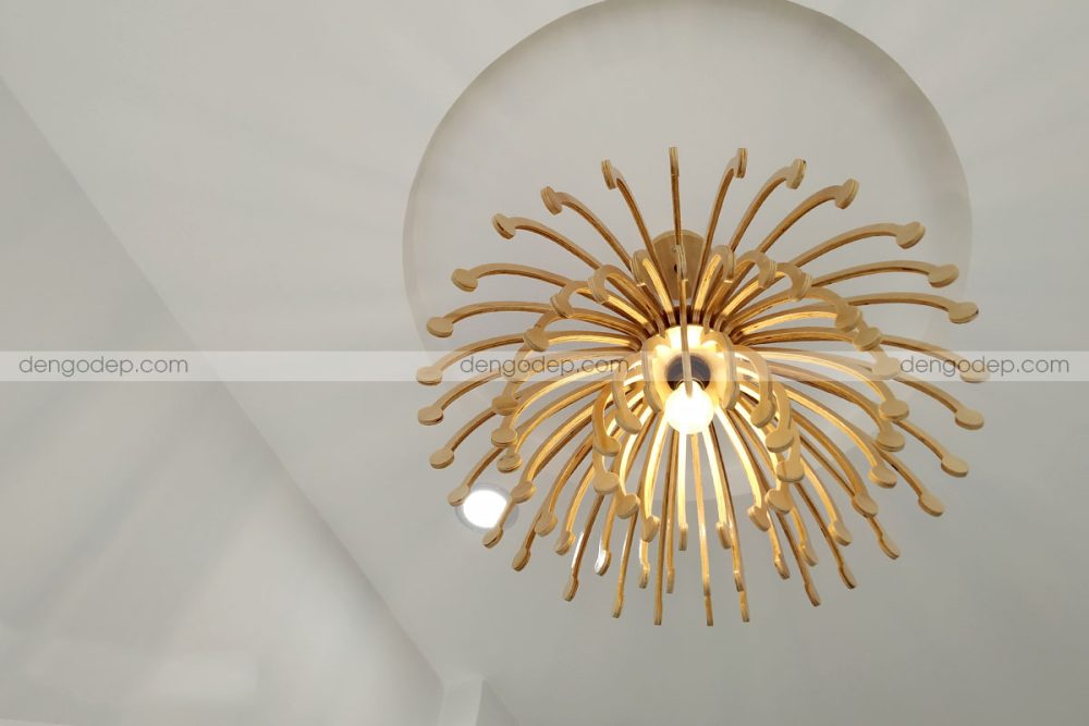 Đèn gỗ thả trần hoa bỉ ngạn chụp hướng từ dưới lên